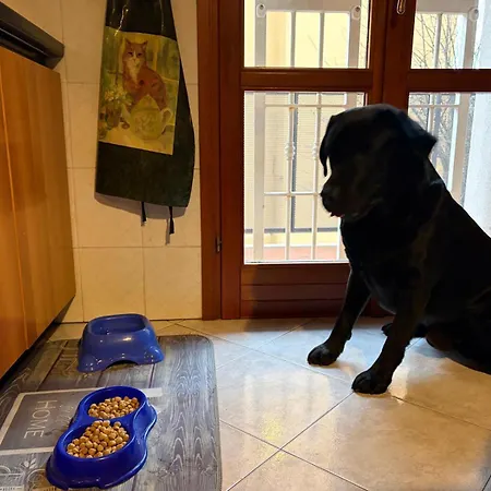 Casa Roberta E Gilberto *