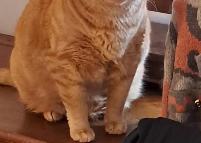 Casa Roberta E Gilberto 아파트 볼로냐