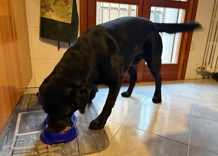 Casa Roberta E Gilberto Lägenhet Bologna
