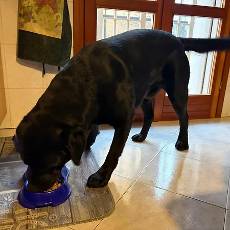 Casa Roberta E Gilberto アパート ボローニャ