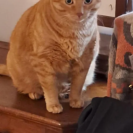 Casa Roberta E Gilberto Apartment Bologna